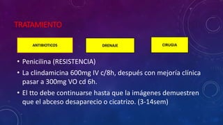 TRATAMIENTO
• Penicilina (RESISTENCIA)
• La clindamicina 600mg IV c/8h, después con mejoría clínica
pasar a 300mg VO cd 6h.
• El tto debe continuarse hasta que la imágenes demuestren
que el abceso desaparecio o cicatrizo. (3-14sem)
ANTIBIOTICOS DRENAJE CIRUGIA
 