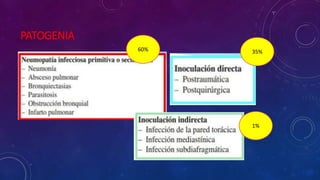 PATOGENIA
60% 35%
1%
 