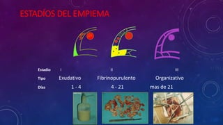 ESTADÍOS DEL EMPIEMA
Estadio I II III
Tipo Exudativo Fibrinopurulento Organizativo
Días 1 - 4 4 - 21 mas de 21
 