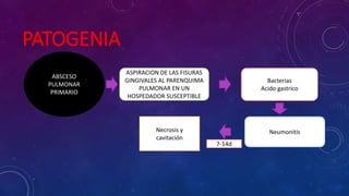 PATOGENIA
ABSCESO
PULMONAR
PRIMARIO
ASPIRACION DE LAS FISURAS
GINGIVALES AL PARENQUIMA
PULMONAR EN UN
HOSPEDADOR SUSCEPTIBLE
Bacterias
Acido gastrico
NeumonitisNecrosis y
cavitación
7-14d
 