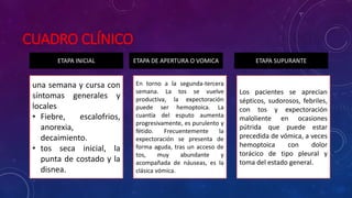 CUADRO CLÍNICO
ETAPA INICIAL ETAPA DE APERTURA O VOMICA ETAPA SUPURANTE
una semana y cursa con
síntomas generales y
locales
• Fiebre, escalofrios,
anorexia,
decaimiento.
• tos seca inicial, la
punta de costado y la
disnea.
En torno a la segunda-tercera
semana. La tos se vuelve
productiva, la expectoración
puede ser hemoptoica. La
cuantía del esputo aumenta
progresivamente, es purulento y
fétido. Frecuentemente la
expectoración se presenta de
forma aguda, tras un acceso de
tos, muy abundante y
acompañada de náuseas, es la
clásica vómica.
Los pacientes se aprecian
sépticos, sudorosos, febriles,
con tos y expectoración
maloliente en ocasiones
pútrida que puede estar
precedida de vómica, a veces
hemoptoica con dolor
torácico de tipo pleural y
toma del estado general.
 
