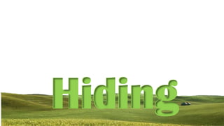 Hiding

 
