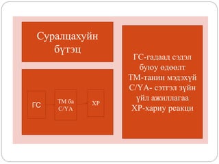 ТМ ба
С/ҮА
ГС ХР
Суралцахуйн
бүтэц
ГС-гадаад сэдэл
буюу өдөөлт
ТМ-танин мэдэхүй
С/ҮА- сэтгэл зүйн
үйл ажиллагаа
ХР-хариу реакци
 