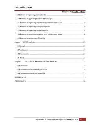 Computer science internship report | PDF