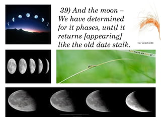 39) And the moon –
We have determined
for it phases, until it
returns [appearing]
like the old date stalk.
 