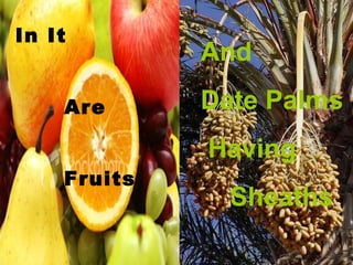 In It
             And

    Are      Date Palms
             Having
    Fruits
               Sheaths
 