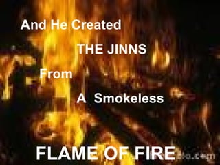 And He Created
         THE JINNS
  From
         A Smokeless



  FLAME OF FIRE
 