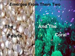 Emerges From Them Two




The         And The

Pearls             Coral
 