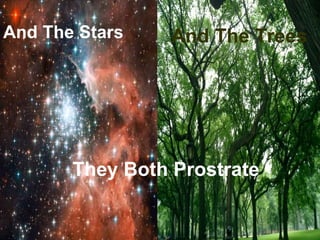 And The Stars    And The Trees




       They Both Prostrate
 