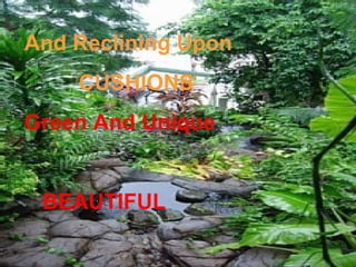 And Reclining Upon
    CUSHIONS
Green And Unique


 BEAUTIFUL
 