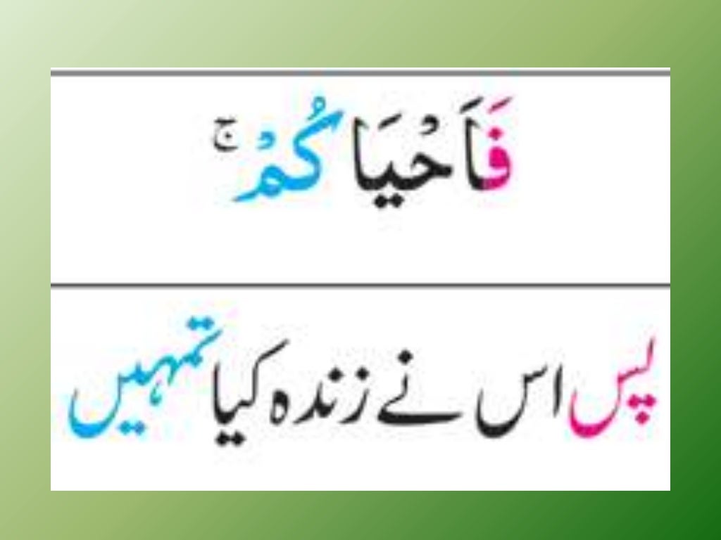 Surah AlBaqarah translation word by word urdu 01 to 40