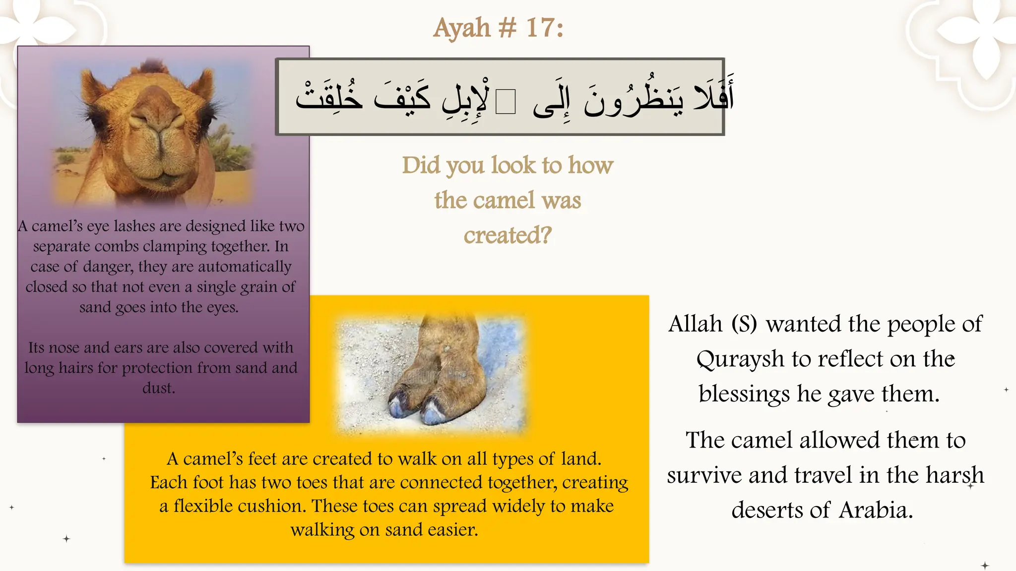 Surah Al Ghashiyah Tafsir Powerpoint Presentation PPTX surah-al-ghashiyah-tafsir-powerpoint-presentation-pptx