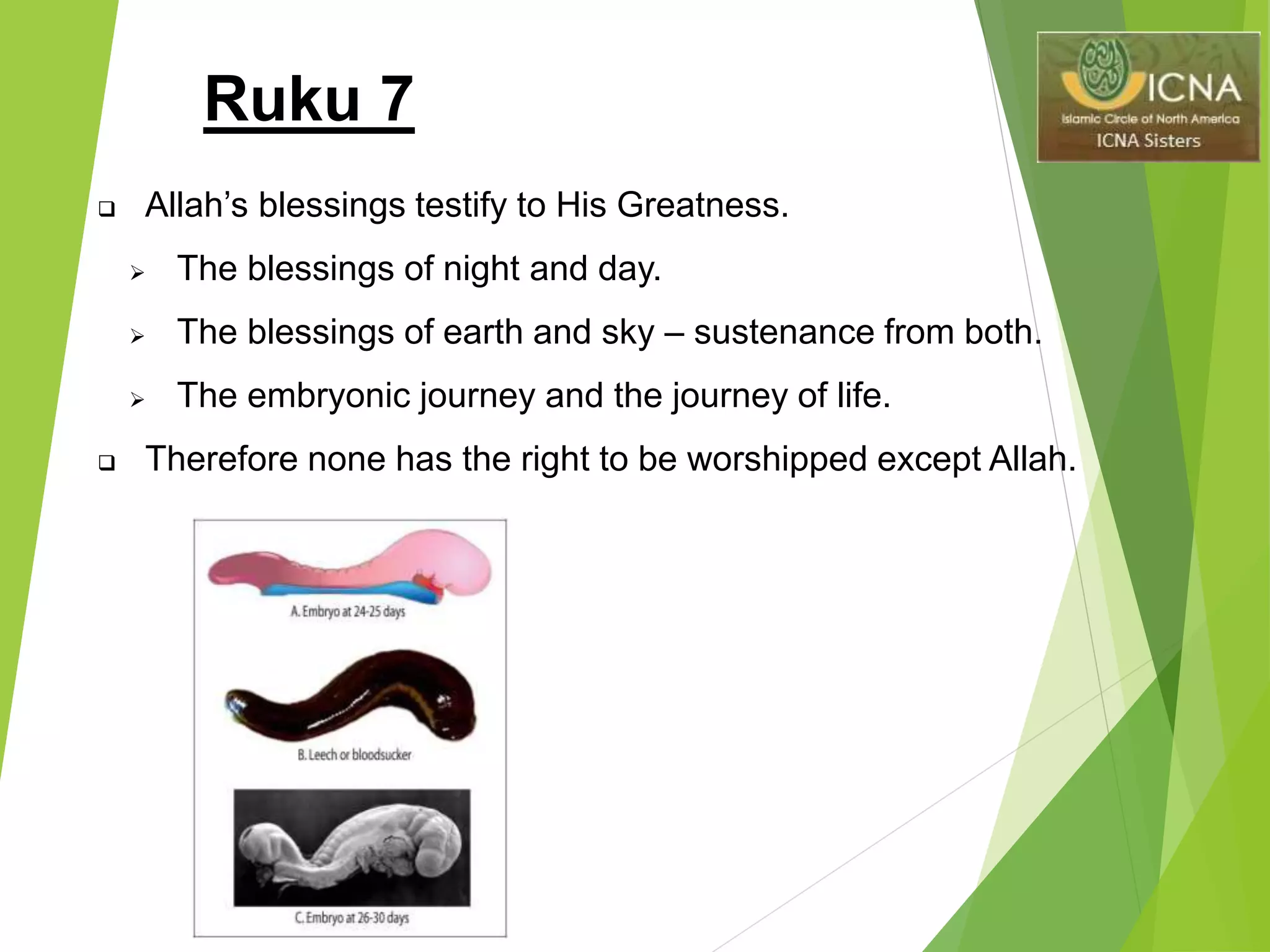 Ruku 7
 Allah’s blessings testify to His Greatness.
 The blessings of night and day.
 The blessings of earth and sky – sustenance from both.
 The embryonic journey and the journey of life.
 Therefore none has the right to be worshipped except Allah.
 