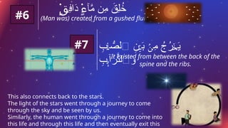 #6 (Man was) created from a gushed fluid.
ِ
‫ف‬‫ا‬َ
‫د‬ ‫ٓا‬َّ
‫م‬ ‫ِن‬
‫م‬ َ
‫ِق‬‫ل‬ُ
‫خ‬
۬
ٍ‫ق‬ ۬
ٍ‫ء‬
ِ
‫ب‬ ُّ
‫ٱلص‬ ِ
‫ن‬ َ
‫ب‬ ِ
‫م‬ ُ
‫ج‬ُ
‫ر‬ َ
‫ي‬
ۡ
‫ل‬ ۡ‫ي‬ ۢ
‫ن‬ ۡ‫خ‬
ِ
‫ب‬ ‫ٓا‬َ
‫ر‬َّ
‫ٱلت‬َ
‫و‬
ِٕ‫ٮ‬
#7
It existed from between the back of the
spine and the ribs.
This also connects back to the stars.
The light of the stars went through a journey to come
through the sky and be seen by us.
Similarly, the human went through a journey to come into
this life and through this life and then eventually exit this
 