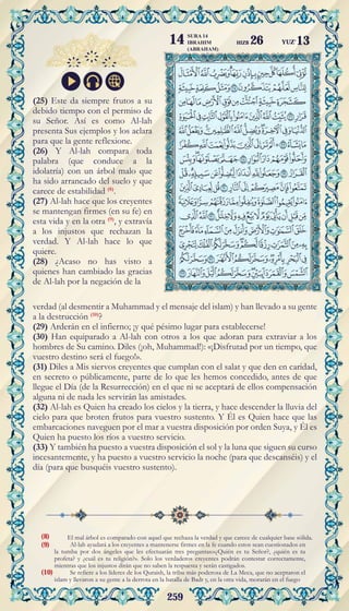 259
El mal árbol es comparado con aquel que rechaza la verdad y que carece de cualquier base sólida.
Al-lah ayudará a los creyentes a mantenerse firmes en la fe cuando estos sean cuestionados en
la tumba por dos ángeles que les efectuarán tres preguntas:«¿Quién es tu Señor?, ¿quién es tu
profeta? y ¿cuál es tu religión?». Solo los verdaderos creyentes podrán contestar correctamente,
mientras que los injustos dirán que no saben la respuesta y serán castigados.
Se refiere a los líderes de los Quraish, la tribu más poderosa de La Meca, que no aceptaron el
islam y llevaron a su gente a la derrota en la batalla de Badr y, en la otra vida, morarán en el fuego
(25) Este da siempre frutos a su
debido tiempo con el permiso de
su Señor. Así es como Al-lah
presenta Sus ejemplos y los aclara
para que la gente reflexione.
(26) Y Al-lah compara toda
palabra (que conduce a la
idolatría) con un árbol malo que
ha sido arrancado del suelo y que
carece de estabilidad (8)
.
(27) Al-lah hace que los creyentes
se mantengan firmes (en su fe) en
esta vida y en la otra (9)
, y extravía
a los injustos que rechazan la
verdad. Y Al-lah hace lo que
quiere.
(28) ¿Acaso no has visto a
quienes han cambiado las gracias
de Al-lah por la negación de la
verdad (al desmentir a Muhammad y el mensaje del islam) y han llevado a su gente
a la destrucción (10)
?
(29) Arderán en el infierno; ¡y qué pésimo lugar para establecerse!
(30) Han equiparado a Al-lah con otros a los que adoran para extraviar a los
hombres de Su camino. Diles (¡oh, Muhammad!): «¡Disfrutad por un tiempo, que
vuestro destino será el fuego!».
(31) Diles a Mis siervos creyentes que cumplan con el salat y que den en caridad,
en secreto o públicamente, parte de lo que les hemos concedido, antes de que
llegue el Día (de la Resurrección) en el que ni se aceptará de ellos compensación
alguna ni de nada les servirán las amistades.
(32) Al-lah es Quien ha creado los cielos y la tierra, y hace descender la lluvia del
cielo para que broten frutos para vuestro sustento. Y Él es Quien hace que las
embarcaciones naveguen por el mar a vuestra disposición por orden Suya, y Él es
Quien ha puesto los ríos a vuestro servicio.
(33) Y también ha puesto a vuestra disposición el sol y la luna que siguen su curso
incesantemente, y ha puesto a vuestro servicio la noche (para que descanséis) y el
día (para que busquéis vuestro sustento).
(8)
(9)
(10)
YUZ'13
SURA 14
IBRAHIM
(ABRAHAM)
14 HIZB 26
 