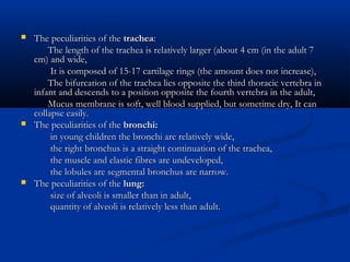    The peculiarities of the trachea:
        The length of the trachea is relatively larger (about 4 cm (in the adult 7
    cm) and wide,
         It is composed of 15-17 cartilage rings (the amount does not increase),
        The bifurcation of the trachea lies opposite the third thoracic vertebra in
    infant and descends to a position opposite the fourth vertebra in the adult,
        Mucus membrane is soft, well blood supplied, but sometime dry, It can
    collapse easily.
   The peculiarities of the bronchi:
         in young children the bronchi are relatively wide,
         the right bronchus is a straight continuation of the trachea,
         the muscle and elastic fibres are undeveloped,
         the lobules are segmental bronchus are narrow.
   The peculiarities of the lung:
         size of alveoli is smaller than in adult,
         quantity of alveoli is relatively less than adult.
 