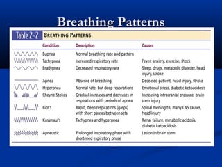 Breathing Patterns
 