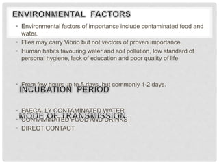 • Environmental factors of importance include contaminated food and
water.
• Flies may carry Vibrio but not vectors of proven importance.
• Human habits favouring water and soil pollution, low standard of
personal hygiene, lack of education and poor quality of life
• From few hours up to 5 days, but commonly 1-2 days.
• FAECALLY CONTAMINATED WATER
• CONTAMINATED FOOD AND DRINKS
• DIRECT CONTACT
 