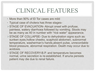 CLINICAL FEATURES
• More than 90% of El Tor cases are mild
• Typical case of cholera has three stages-
STAGE OF EVACUATION- Abrupt onset with profuse,
painless, watery diarrhoea followed by vomiting. Stools may
be as many as 40 in number with “rice water” appearance.
STAGE OF COLLAPSE- Due to dehydration signs such as:
sunken eyes,hollow cheeks, scaphoid abdomen, subnormal
temperature, washerman’s hands,absent pulse, unrecordable
blood pressure, abnormal respiration. Death may occur due to
acidosis.
STAGE OF RECOVERY-B.P. and temperature becomes
normal, urine secretion is re-established. If anuria persists
patient may die due to renal failure.
 