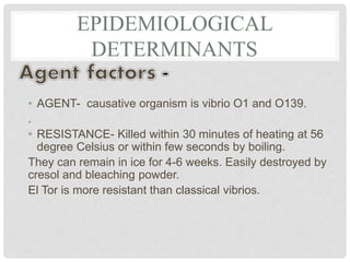 EPIDEMIOLOGICAL
DETERMINANTS
• AGENT- causative organism is vibrio O1 and O139.
.
• RESISTANCE- Killed within 30 minutes of heating at 56
degree Celsius or within few seconds by boiling.
They can remain in ice for 4-6 weeks. Easily destroyed by
cresol and bleaching powder.
El Tor is more resistant than classical vibrios.
 