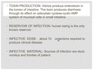 • TOXIN PRODUCTION- Vibrios produce enterotoxin in
the lumen of intestine. The toxin produces diarrhoea
through its effect on adenylate cyclase-cyclic AMP
system of mucosal cells in small intestine
• RESERVOIR OF INFECTION- human being is the only
known reservoir.
• INFECTIVE DOSE- about 10 organisms required to
produce clinical disease.
• INFECTIVE MATERIAL- Sources of infection are stool,
vomitus and fomites of patient.
 