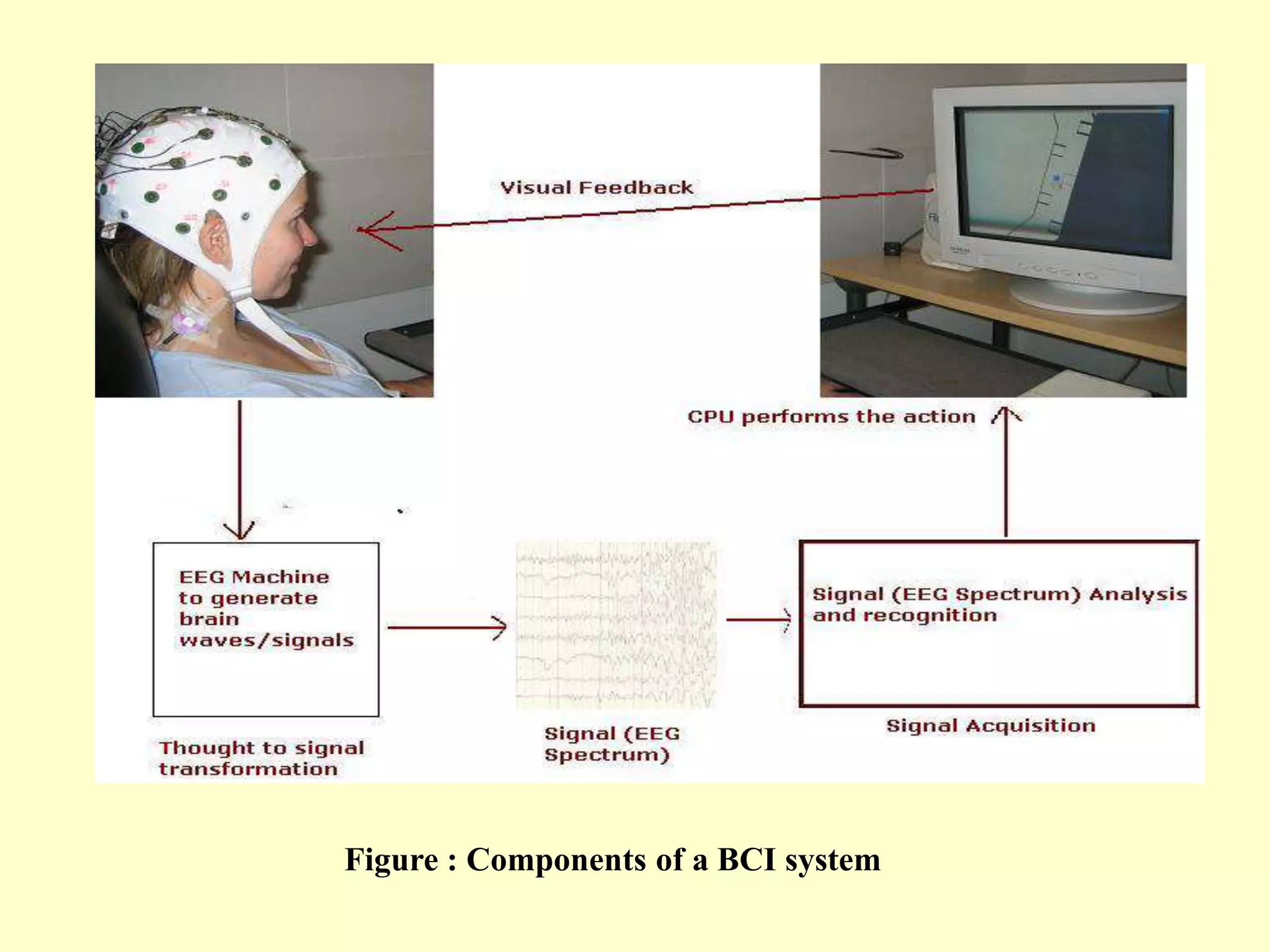 Figure : Components of a BCI system

 