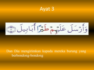 Ayat 3




Dan Dia mengirimkan kapada mereka burung yang
   berbondong-bondong
 