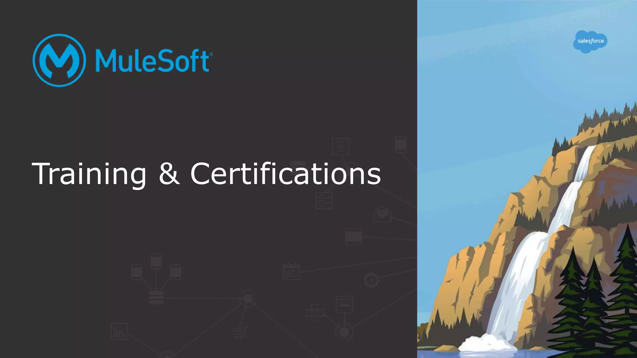 Training & Certifications
 