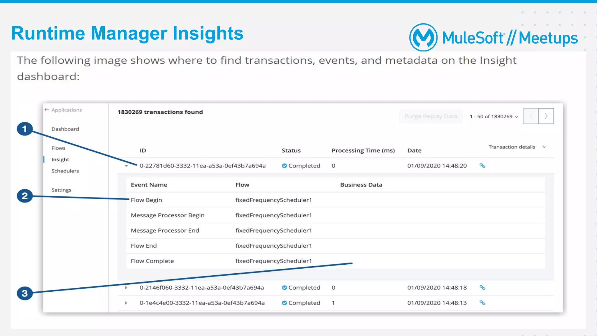 12
Runtime Manager Insights
 