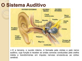 Uma pessoa com Surdez Leve só escutará sons se eles estiverem mais altos que o comum. Níveis de surdezJá uma pessoa com Surdez Moderada apresenta uma perda auditiva entre 40 e 70 dB, neste caso, devido à perda auditiva ser um pouco maior, ela é diagnosticada mais cedo do que aquela primeira. Este diagnóstico acontece no momento em que o indivíduo deveria estar começando a falar, uma vez que, com este nível de surdez haverá atraso da fala.