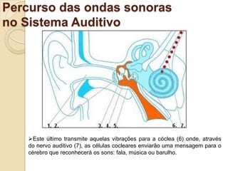 Uma pessoa com Surdez Profunda só escutará sons ditos graves que transmitem vibração como o som de um helicóptero, de um avião ou de um trovão. Causas da surdezQuanto às causas da surdez, elas são várias, partindo de fatores genéticos a ambientais. Estes fatores podem causar a perda de audição nos períodos pré-natal, peri natal ou pós-natal. No período Pré-natal (ocorrido durante a gestação) a surdez pode ser causada por Fatores Hereditários, onde se terá o fator familiar (concernente a herança genética, que pode conter uma anomalia que provoque a surdez) e síndromes. 