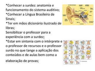 *Conhecer a surdez: anatomia e funcionamento do sistema auditivo; *Conhecer a Língua Brasileira de Sinais; *Ter em mãos dicionário ilustrado de libras; Sensibilizar o professor para a experiência com a surdez; *Estar em sintonia com o intérprete e o professor de recursos e o professor surdo no que tange a aplicação dos conteúdos e de aulas bem como a elaboração de provas;   