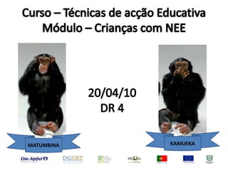 Curso – Técnicas de acção EducativaMódulo – Crianças com NEE20/04/10DR 4KAMUEKAMATUMBINA