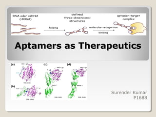 Aptamers as TherapeuticsAptamers as Therapeutics
Surender Kumar
P1688
 