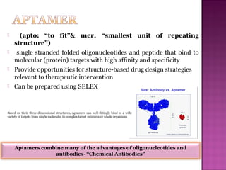  (apto: “to fit”& mer: “smallest unit of repeating
structure”)
 single stranded folded oligonucleotides and peptide that bind to
molecular (protein) targets with high affinity and specificity
 Provide opportunities for structure-based drug design strategies
relevant to therapeutic intervention
 Can be prepared using SELEX
Aptamers combine many of the advantages of oligonucleotides and
antibodies- “Chemical Antibodies”
Based on their three-dimensional structures, Aptamers can well-fittingly bind to a wide
variety of targets from single molecules to complex target mixtures or whole organisms
 