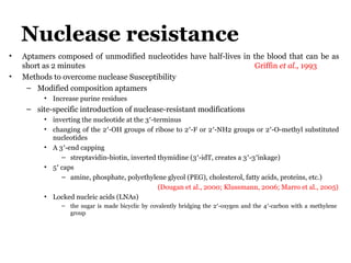 Nuclease resistance
• Aptamers composed of unmodified nucleotides have half-lives in the blood that can be as
short as 2 minutes Griffin et al., 1993
• Methods to overcome nuclease Susceptibility
– Modified composition aptamers
• Increase purine residues
– site-specific introduction of nuclease-resistant modifications
• inverting the nucleotide at the 3′-terminus
• changing of the 2′-OH groups of ribose to 2′-F or 2′-NH2 groups or 2′-O-methyl substituted
nucleotides
• A 3′-end capping
– streptavidin-biotin, inverted thymidine (3′-idT, creates a 3′-3′inkage)
• 5′ caps
– amine, phosphate, polyethylene glycol (PEG), cholesterol, fatty acids, proteins, etc.)
(Dougan et al., 2000; Klussmann, 2006; Marro et al., 2005)
• Locked nucleic acids (LNAs)
– the sugar is made bicyclic by covalently bridging the 2′-oxygen and the 4′-carbon with a methylene
group
 
