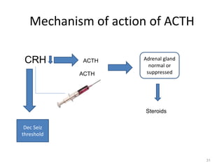 Mechanism of action of ACTH
31
ACTH
CRH ACTH Adrenal gland
normal or
suppressed
Steroids
Dec Seiz
threshold
 