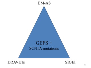 43
GEFS +
SCN1A mutations
EM-AS
DRAVETs SIGEI
 