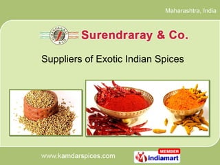 Maharashtra , India Suppliers of Exotic Indian Spices 