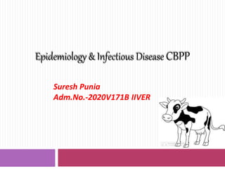 Epidemiology& Infectious Disease CBPP
Suresh Punia
Adm.No.-2020V171B IIVER
 