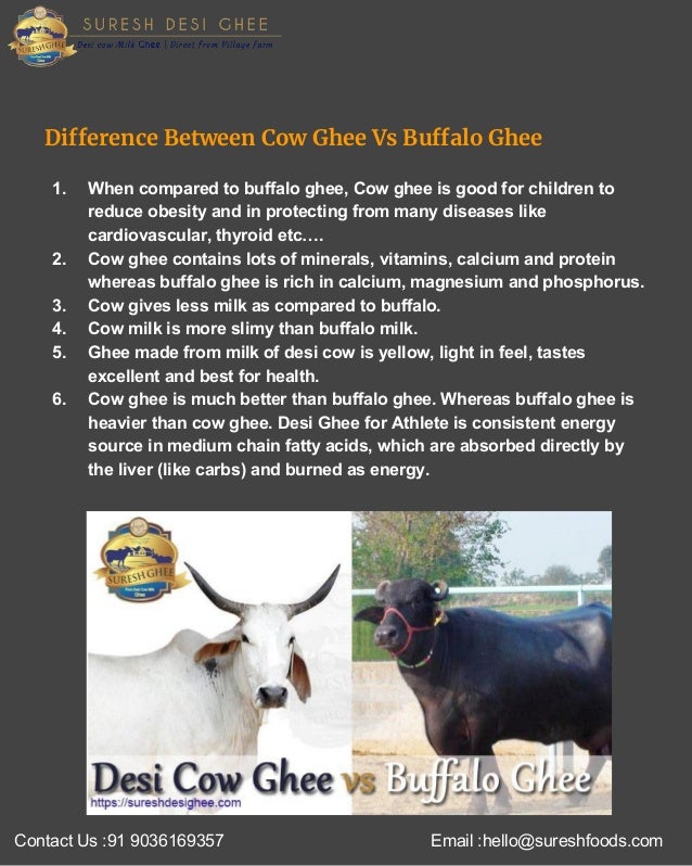 Sureshdesighee Desi Cow Ghee Vs Buffalo Ghee Vs Jersey Cow Ghee Pdf