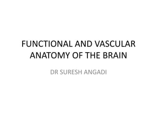 FUNCTIONAL AND VASCULAR
ANATOMY OF THE BRAIN
DR SURESH ANGADI
 