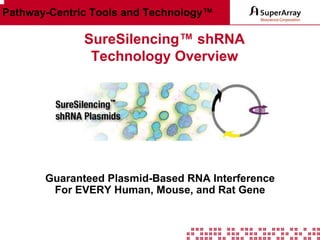 Pathway-Centric Tools and Technology™

SureSilencing™ shRNA
Technology Overview

Guaranteed Plasmid-Based RNA Interference
For EVERY Human, Mouse, and Rat Gene

 