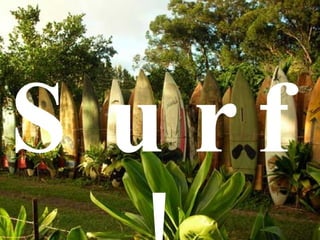 Surf! 