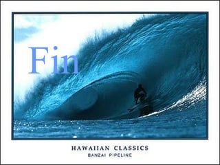 Fin 