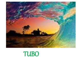 TUBO
 