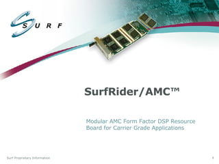SurfRider/AMC™ Modular AMC Form Factor DSP Resource Board for Carrier Grade Applications 