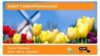 Dutch Cyberinfrastructure

Harold Teunissen
SC13 - #sc13 - #surfnet

 