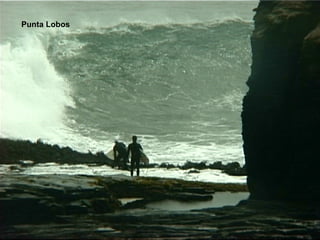 Punta Lobos 