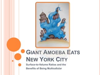 GIANT AMOEBA EATS
NEW YORK CITY
Surface-to-Volume Ratios and the
Benefits of Being Multicellular
 